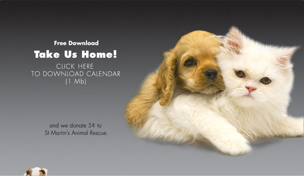 the puppy calendar